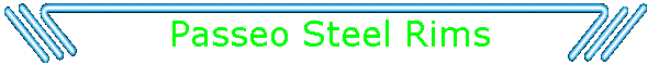 Passeo Steel Rims